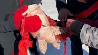 88.88萬元！內蒙古一冬捕節(jié)上“頭魚”被拍出