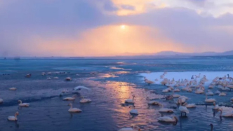 雪景不輸哈爾濱，好吃堪比舟山，冬季旅游來山東這座雪窩小城