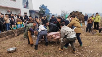 馬上評(píng)丨“按豬宴”意外走紅：一場(chǎng)盛大的數(shù)字鄉(xiāng)愁