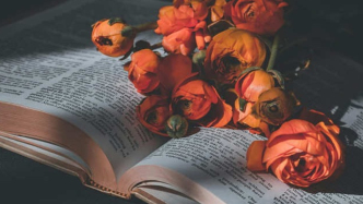 特效合同約定不明，部分效果不達(dá)標(biāo)如何認(rèn)定違約？