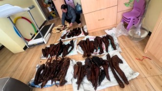 沉甸甸的爱！湖南妈妈转3趟车背上百斤腊肉送女儿