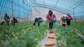 经济日报：莫让返乡变返贫，要让农村产业留住人