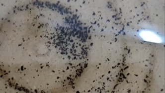 哈尔滨一社区供水不足且浑浊，供水厂：管线破损导致，正解决