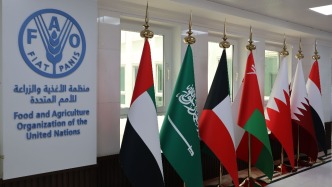 联合国粮农组织：阿联酋是区域和全球粮食安全的重要战略伙伴