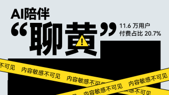 AI服务涉黄第一案背后：AI陪聊的边界在哪里？