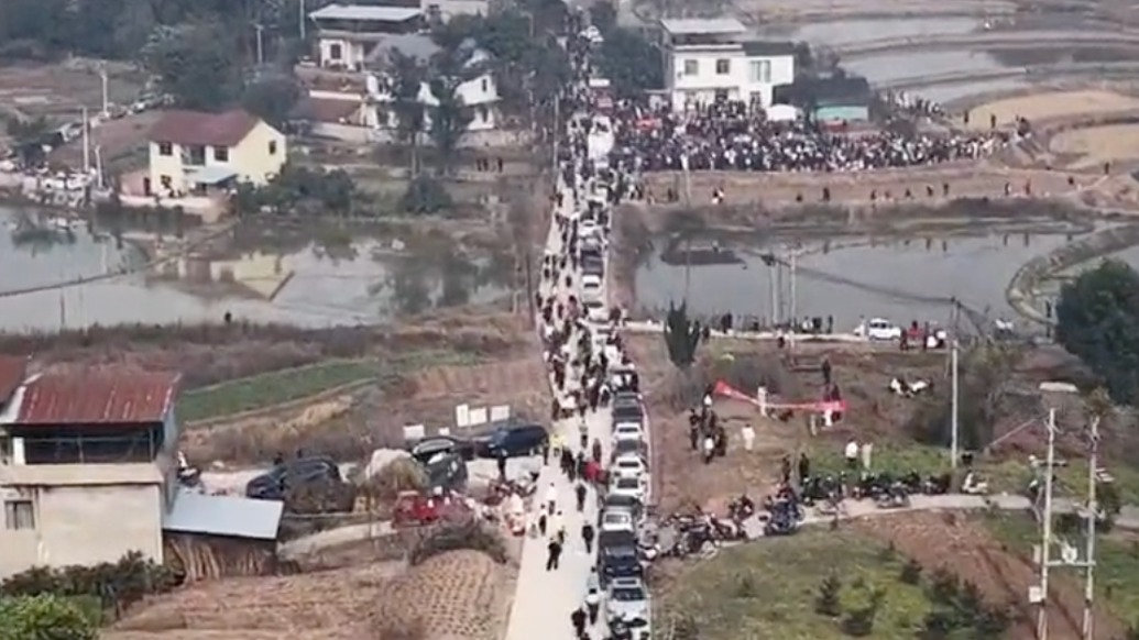 当“按年猪”成为网络奇观:一个人的邀约,一座城的应对