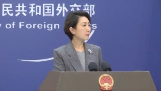 外交部回应泰国在建高铁项目致死事故：原因正在调查