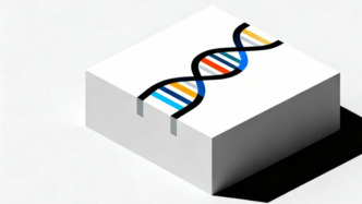 SNPbag基因大模型发布：亲缘关系判定效率较传统方法提高数十倍