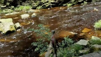 官方回應南寧大明山河水變成茶色：天然形成，無污染