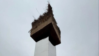 洞庭湖大型反光藝術(shù)裝置被指威脅候鳥安全，保護(hù)區(qū)管理局：已拆除