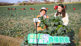 馬上評(píng)｜精準(zhǔn)滴灌中小民企，夯實(shí)經(jīng)濟(jì)內(nèi)生動(dòng)力