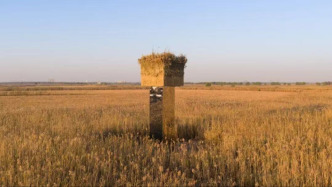洞庭湖一座立體鏡面裝置被指易引發(fā)鳥撞：已拆除完畢，未發(fā)現(xiàn)鳥類傷亡