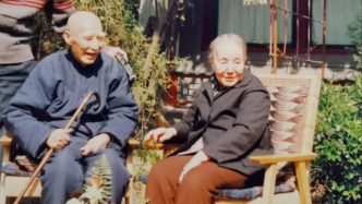 现代语文教育之路｜叶圣陶：海棠树与万年青
