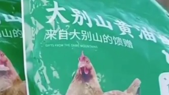 扫描“主播”｜“与辉同行”客服回应“麻黄鸡”产地争议：系行业通称命名