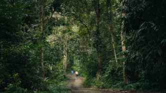 她眾籌拍《上海女兒》入圍柏林，記錄一場無法與父同行的旅程