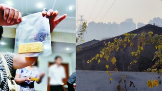 武漢“金條村”村民反映村集體經濟組織股權轉讓后生活無保障，董事長稱無利潤無法分紅