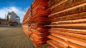 股價(jià)一年暴漲超250%，洛陽鉬業(yè)預(yù)計(jì)年度凈利潤首次突破200億元大關(guān)