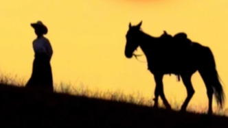 于洪区文旅局原副局长彭勃送别“战友”贺娇龙：我们将从她手里接过大旗