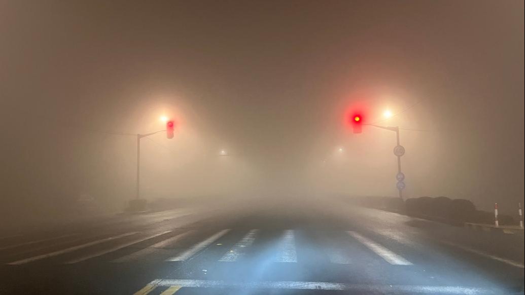 上海多区气象台发布大雾预警信号，一区已更新为红色预警