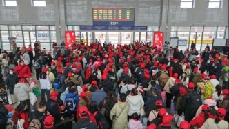 ​铁路12306手机客户端务工人员春运预约购票服务上线