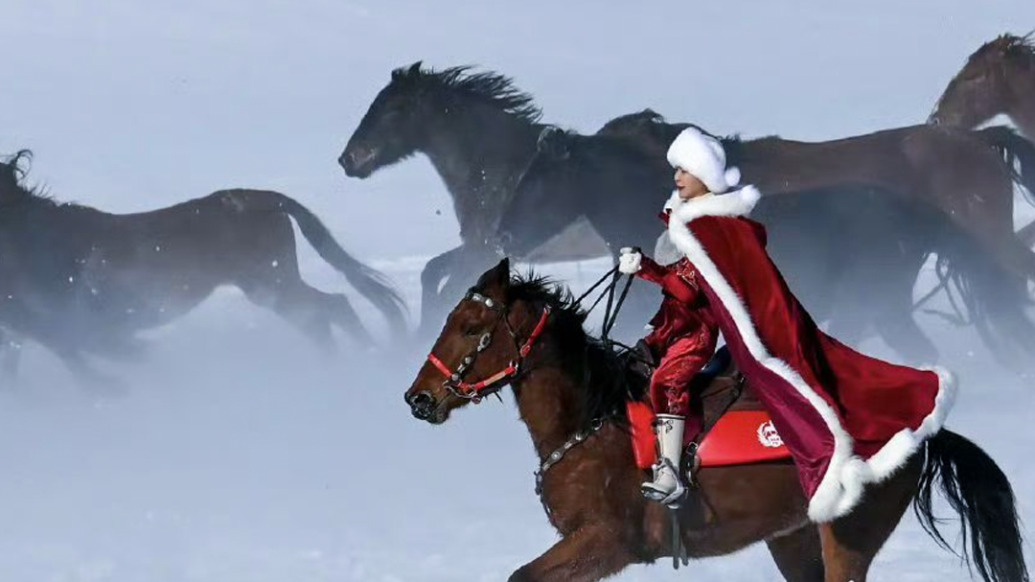 我们的“十八般武艺”为谁而用？贺娇龙生前的这番话令人动容