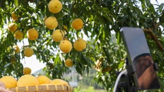 人民日报政策问答·回应关切：为直播间卖食品“划红线、立规矩”