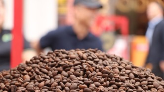 海南自貿(mào)港全島封關(guān)運(yùn)作滿(mǎn)月，本地產(chǎn)貨物成“香餑餑”