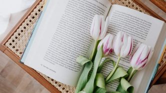 如何追究負(fù)責(zé)募集影片投資款的當(dāng)事人的違約責(zé)任？