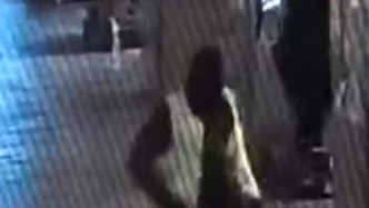 視頻丨盧浮宮失竊案最新監(jiān)控畫(huà)面曝光，安保人員目睹作案過(guò)程