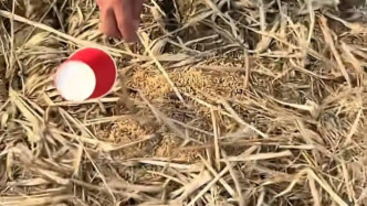 江西警方通报鄱阳湖湿地野生动物疑被投毒：全面开展排查清理