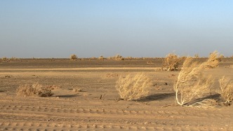 神舟二十号飞船返回舱在东风着陆场成功着陆