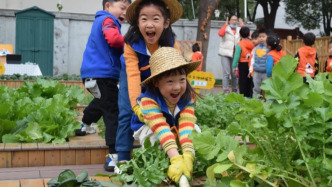 上海依據(jù)人口變化優(yōu)化幼兒園配置，普惠性幼兒園覆蓋率達(dá)95%