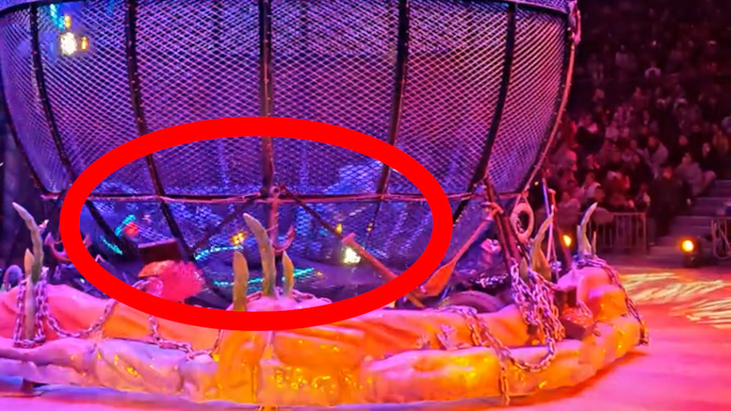 武汉极地海洋度假区摩托飞车演出发生车辆碰撞，园方致歉：两人受伤