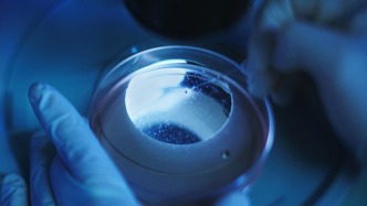 微塑料危机被夸大？科学界质疑“人体微塑料水平大幅上升只是实验误差”