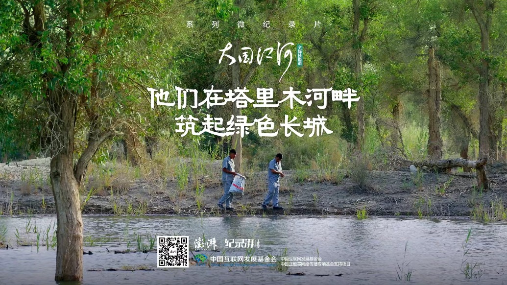 大国江河｜他们在塔里木河畔筑起绿色长城