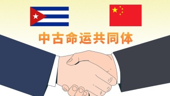 中国援古巴紧急粮食援助项目首批大米完成交付