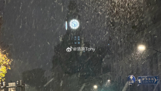 上海下雪了，早起的惊喜你发现了吗？