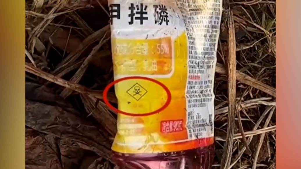 個(gè)別菜商違規(guī)使用含毒農(nóng)藥？湖北天門市成立聯(lián)合調(diào)查組調(diào)查：涉事種植戶的蔬菜尚未上市