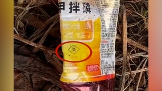 個(gè)別菜商違規(guī)使用含毒農(nóng)藥？湖北天門市成立聯(lián)合調(diào)查組調(diào)查：涉事種植戶的蔬菜尚未上市