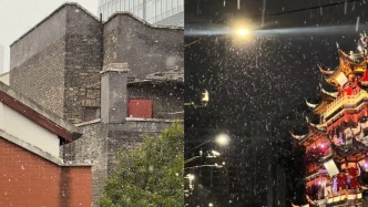 不是AI，上海真下雪了！圍觀此刻16個區(qū)的雪景