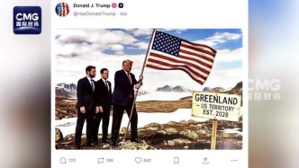 特朗普发布登上格陵兰岛图片