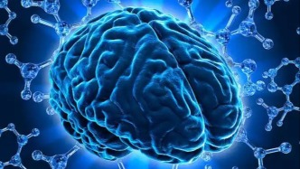 心理预期如何影响生理变化？研究发现积极心态可增强免疫功能