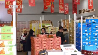 集市人氣旺、年宵花爭艷 “年貨消費”活力充沛激發(fā)經(jīng)濟增長新動能