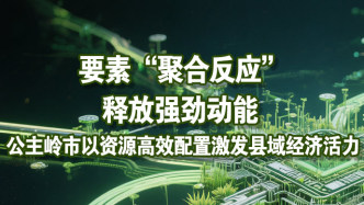 要素“聚合反应”释放强劲动能，公主岭市以资源高效配置激发县域经济活力