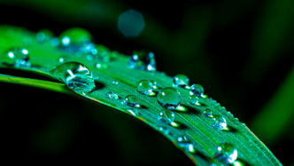 全國(guó)節(jié)水辦：到2030年萬(wàn)元工業(yè)增加值用水量比2025年降10%以上