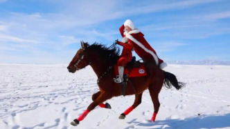 新疆日报：聊聊网友呼吁为贺娇龙立塑像这件事