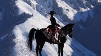 新疆日?qǐng)?bào)：聊聊網(wǎng)友呼吁為賀嬌龍立塑像這件事