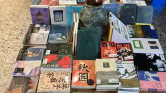 系列的系列｜中國(guó)出版業(yè)迎來(lái)小開(kāi)本時(shí)代了嗎？