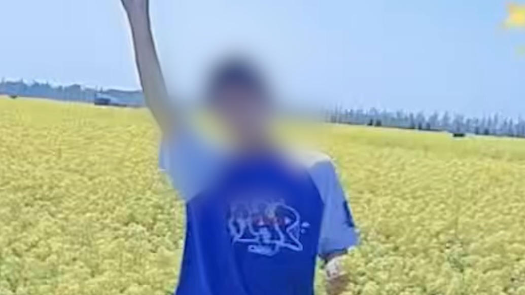 河北廊坊中学生校内遭殴打致死，四名同学被控故意伤害