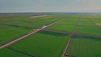 农业农村部：去年支持新建和改造提升高标准农田7568万亩